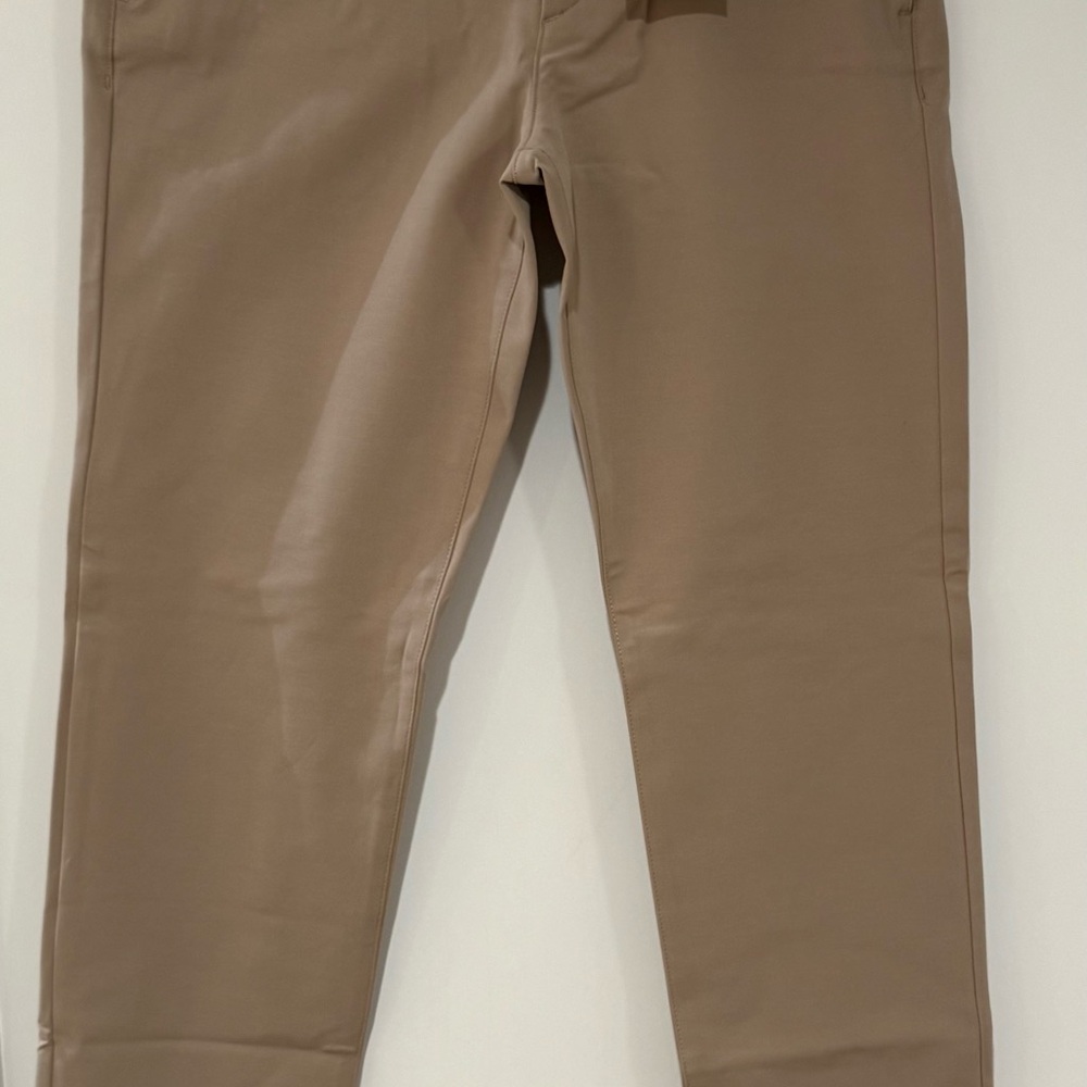 Theory Men's Khaki Chinos